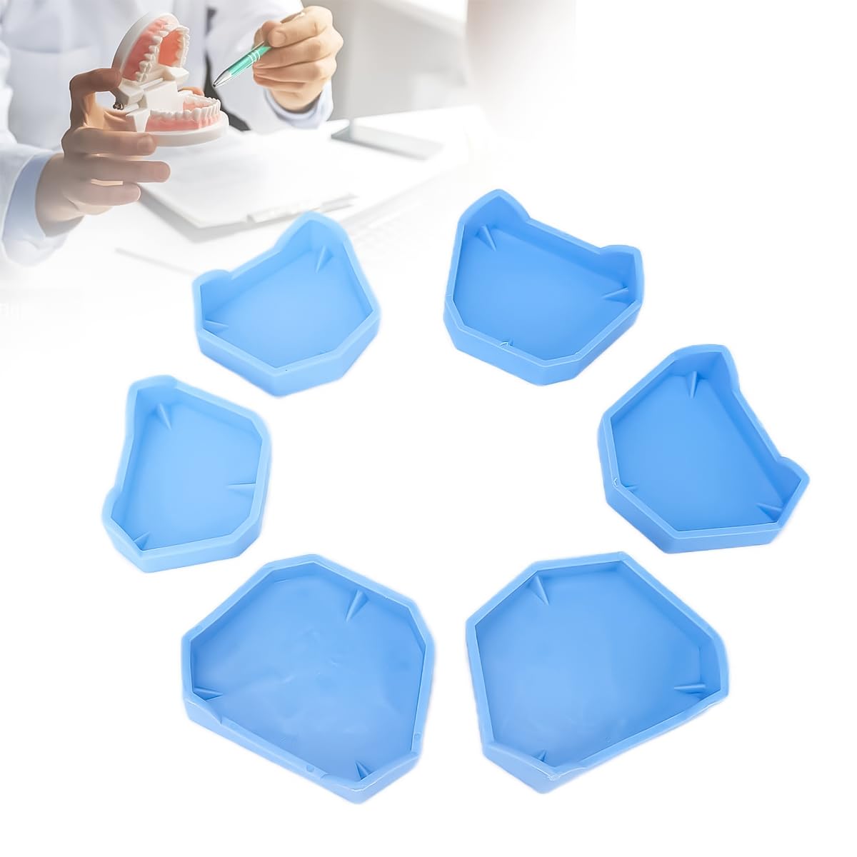 Base de yeso para modelo dental 6 piezas bandeja de moldes impresión dental