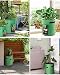 deepee 2 Piezas Bolsa de Plantas con Dos Ventana Visualizada, Tela no...