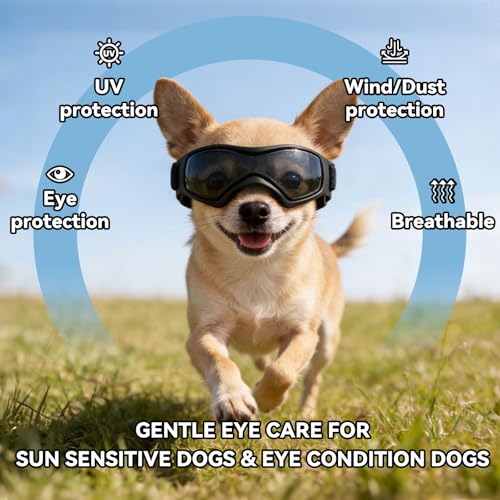 Image of Dog Goggles Small Breed, XS Dog Sunglasses Chihuahua Glasses Anti-UV Eyes Protection for XSmall Pets Tiny Dogs Cats, Black XS