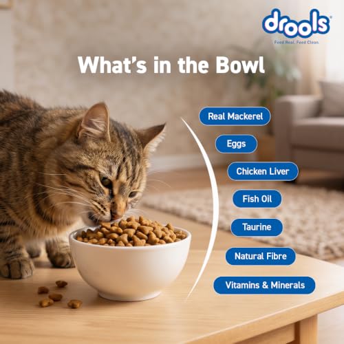 Image of Drools Adult Dry Cat Food 3kg | Mackerel | Supports Skin & Coat | Enhances Vision | Promotes Shiny Fur | Controls Hairball Formation | No Artificial Flavours