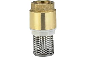 Brass Foot Valve: Exceptional Water Flow Control and Protection for Your Pump