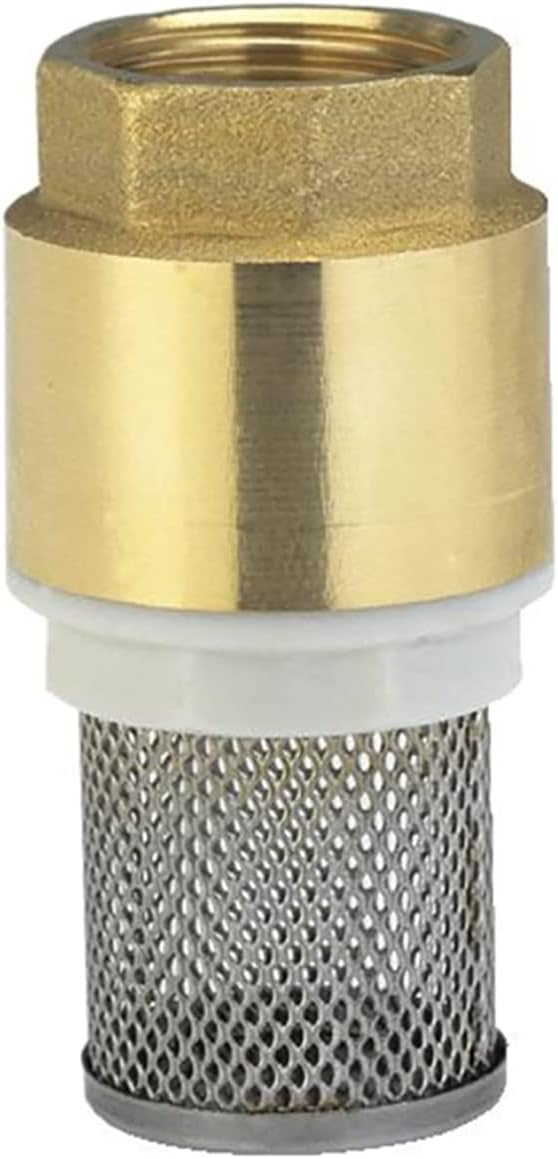 SEIWEI Brass 1" Foot Check Valve for Water Pump - DN25