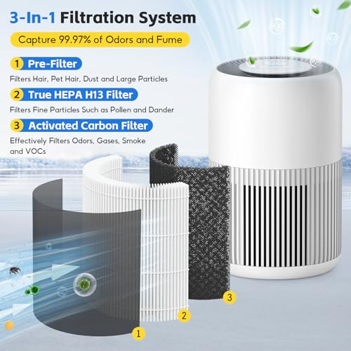 2 Stück FY0910/30 Ersatzfilter, Kompatibel Philips 900 Serie Luftreiniger AC0950/10 und AC0951/13, 3-in-1, H13 True HEPA mit Hocheffizienter Aktivkohle und Vorfilter, Teilenummer FY0910/30