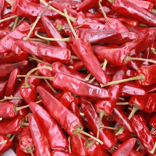 大洋物産 福建王唐辛子ホール 500g入 とうがらし トウガラシ 辣椒 香辛料 業務用 マーボー豆腐