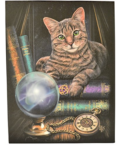 Fortune teller wall plaque by lisa parker by Magical Gift Store