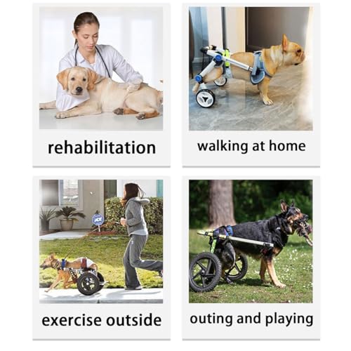 Fauteuil roulant pour chien pour offrir une seconde vie à votre ami - 7