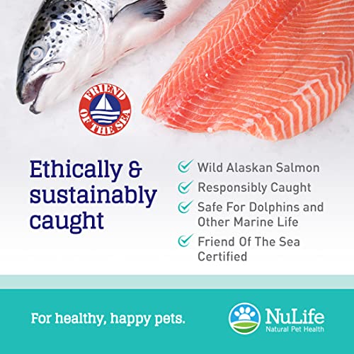100% Pure Omega 3 Fish Oil For Dogs & Cats - Pet Fish Oil Supplement With Dha & Epa Fatty Acids For Healthy Skin & Shiny Coat - Improves Shedding & Relieves Dry, Itchy Skin - 500Mg - 120 Capsules #TOP4