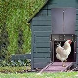 Puerta automática del gallinero, Apertura retardada por la Noche y por la mañana