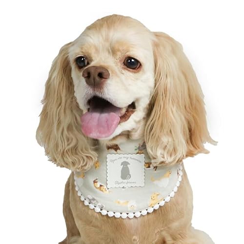 �y�b�g�p���_�C�X �� �� �~ �ߗޏ��� Hokarela �o���_�i ��^�� �k ���� ���̕� �y�b�g�� �h�b�O�E�F�A �X�p�I�[�� SPAORE �����N�[�[�V���� ���ԊO�� �V�j�A �y�������c�X74�X�ܓW�J2025/8/1���_�z ����