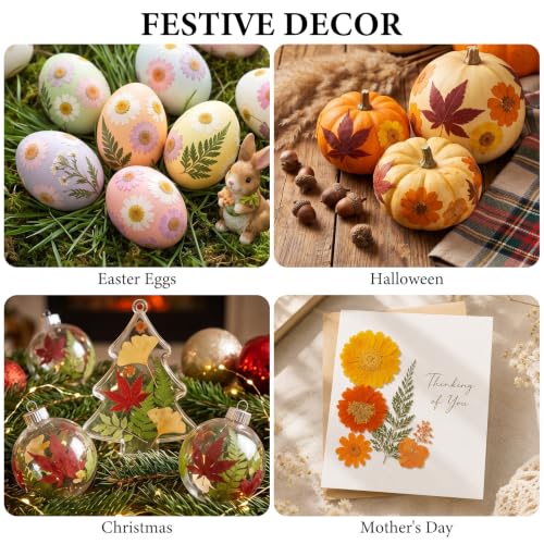 Image of NESCCI 350 Pcs Orange Fall Dried Flowers for Crafts,Real Nature Dried Flowers for Craft Bulk Dry Flowers Leaves Kit Used for Resin Molds Scrapbooking DIY Art Crafts Candle Soap Making Nails Decor