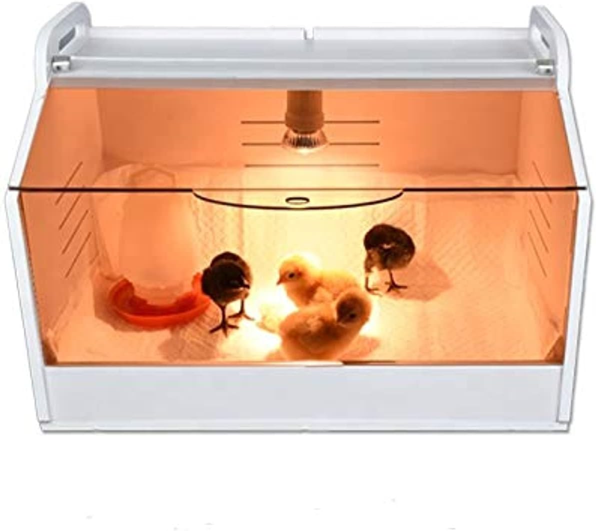 Chicken Heating Brooder Cage Coop Artificial Mother for Small Chicks and Egg Incubator with Size of 48 * 30 * 30cm