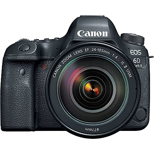 Canon EOS 6D Mark II DSLR con lentes 24-105mm y 50mm miniatura 5
