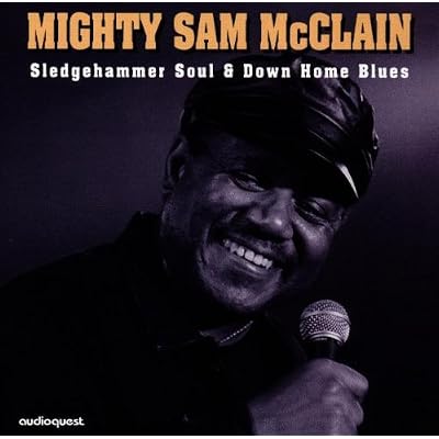 Sledgehammer Soul & Down