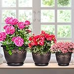 Plastic-Plant-Flower-Planters-10 Inch with Drainage Hole & Saucer, 3 Packs Lightweight Small Resin Flower Pot Indoor Outdoor, Retro Antique Imitation Decorative Garden Containers Sets for Houseplants - Image 5