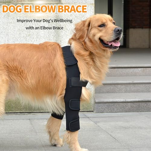 Image of Dog Elbow Brace Dog Shoulder Brace for Elbow Support and Protection, Dog Elbow Pads for Elbow Hygroma, Arthritis, Dysplasia, Elbow Calluses, Shoulder Dislocation, Elbow Brace (L)