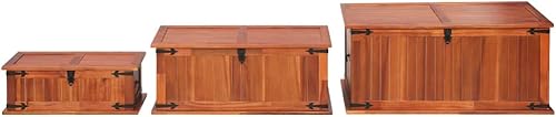 Miniatura 21 de Baúl de almacenamiento de madera con dos asas laterales, baúles y baúles de almacenamiento de madera maciza para dormitorio, caja de almacenamiento