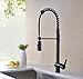 Avola Oil Rubbed Bronze Lead Free Solid Brass Kitchen Sink Mixer Faucet, High Arc Swivel Spring Spout with Dual Function Pull Out and Down Sprayer