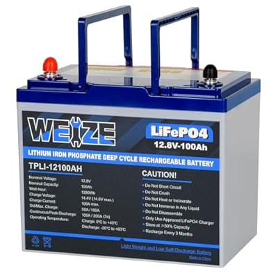 WEIZE 12V 100Ah LiFePO4 Lithium Battery, Upgrade Mini Size & Lightweight, 100A Smart BMS, Deep Cycle Low Temperature Protection Battery for RV, Solar, Marine, Trolling Motor, Off Grid Applications