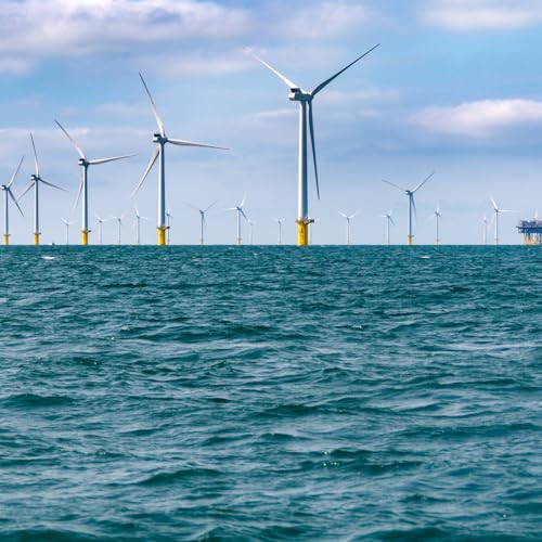 Why is the White House shutting down offshore wind farms?