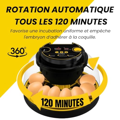 Couveuse automatique pour incuber facilement des œufs à la maison
