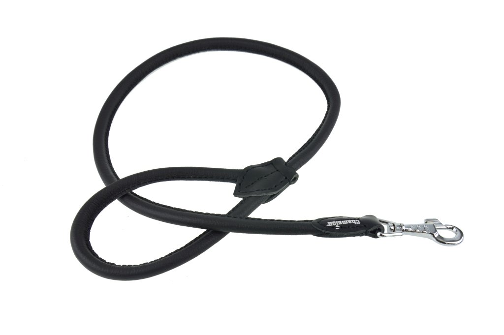 Guinzaglio Cane Catena Acciaio - Foto 3