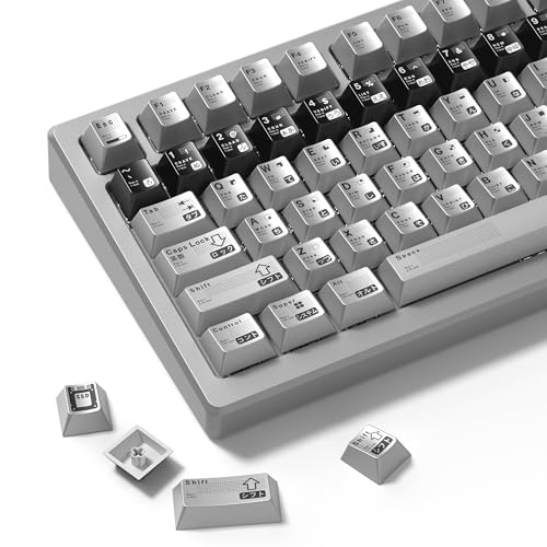 Typehaven PBT Keycaps with Metal Paint, Janese Style 112-Key...