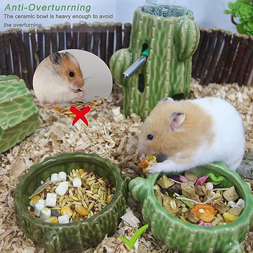 Zhilishu Hamster Food Bowl, 2 Packs Cactus Food & Water Bowls Ceramic Feeding Drinking Bowl Food Dish For Small Animals Gerbil Dwarf Hamster Rat Mice Guinea Pig thumb #2