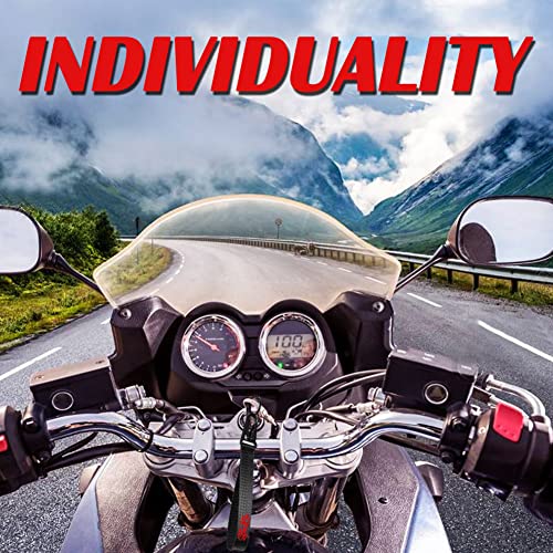 Dsycar For Victory Car Motorcycle Keychain Tag - Carabiner Key Ring Clip, Car Keychain Clip Holder Organizer For Car/Key Finder, Men And Women (Victory/Black & Red) #TOP3