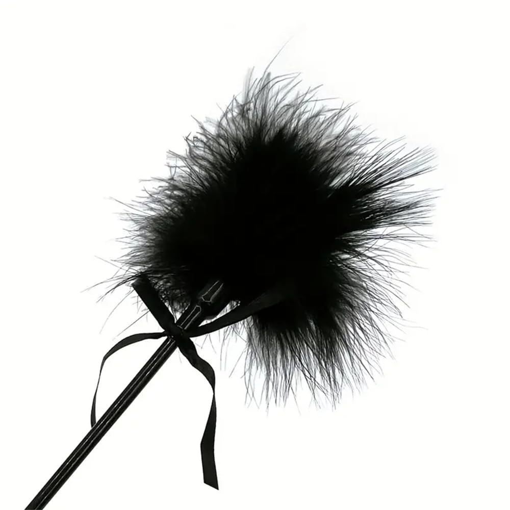 1 plume noire, raquette en cuir, fouet en cuir artificiel, adapté aux jeux de rôle adultes