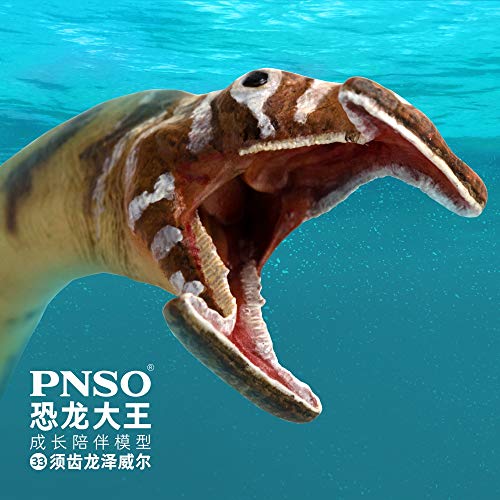 Image of PNSO Prehistoric Animal Models: 33 Zewail the Atopodentatus