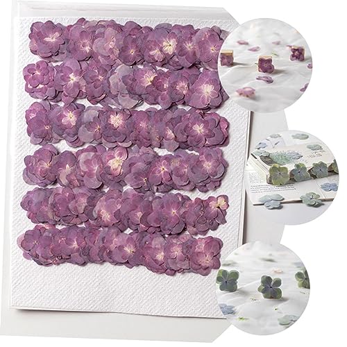 30 piezas flores secas prensadas multicolor para manualidades miniatura 3