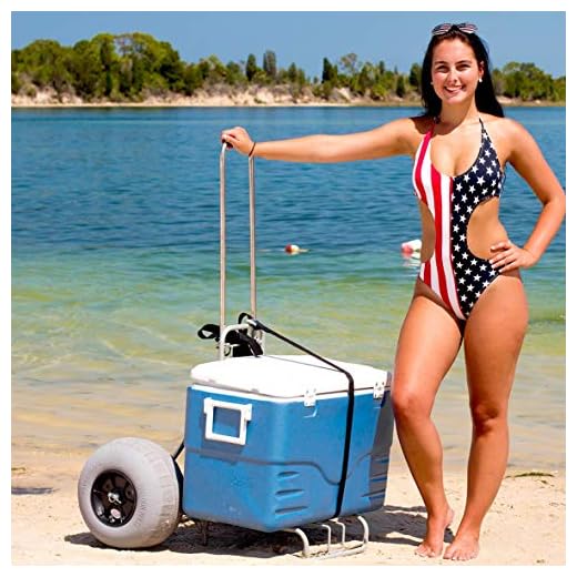 Challenger Mobility Folding Beach Cart Large Balloon Tires Challenger J2020 Sand and Beach Trolley