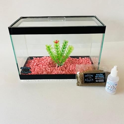 Aquário decorado 4 litros, modelo compacto (1planta artificial+ 1pacote de pedra+ anticloro+ ração).