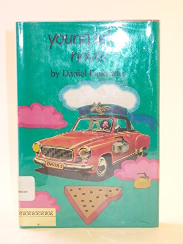 Young adult novel