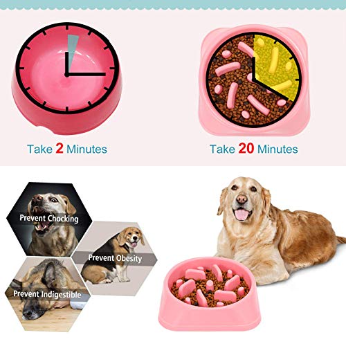 Ciotola Cani Mangiare Lento, Ciotola per Animali
