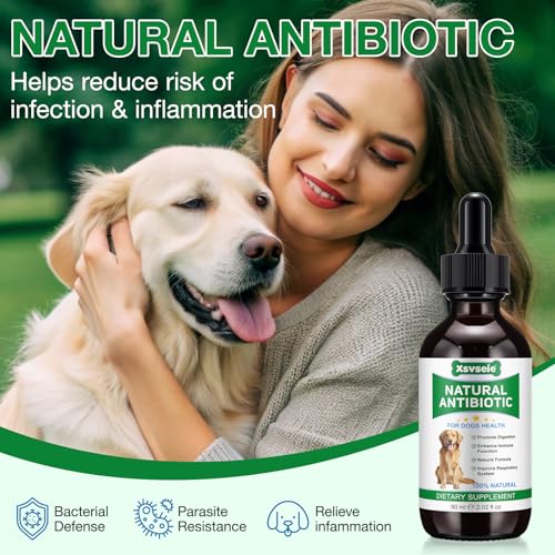 Hund Antibiotika, Antibiotika für Hunde, Hund Allergie & Juckreiz Relief, Hefe-Infektion Behandlung für Hunde, Hund Antibiotika für die Infektion, Bacon Flavor 60ml