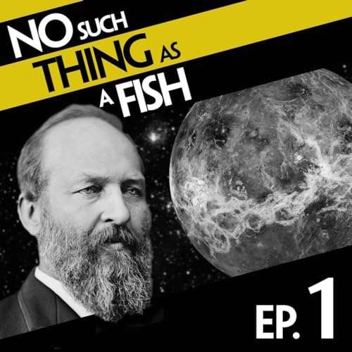 No Such Thing As A Pilot Fish cover art