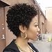 WIGNEE Remy Human Hair Afro Curly Short Style Wigs (2#)