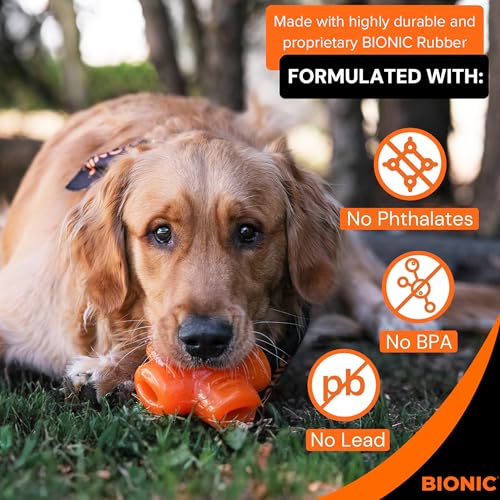 BIONIC Treat Star, Orange - Image 4