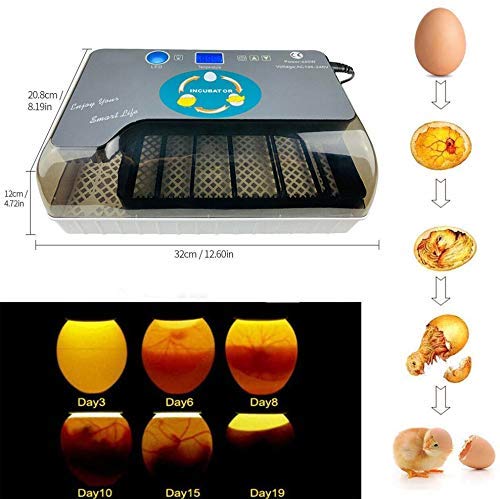 Amazon.co.jp: 自動孵卵器 孵卵機 インキュベーター 鶏など家畜 鳥類