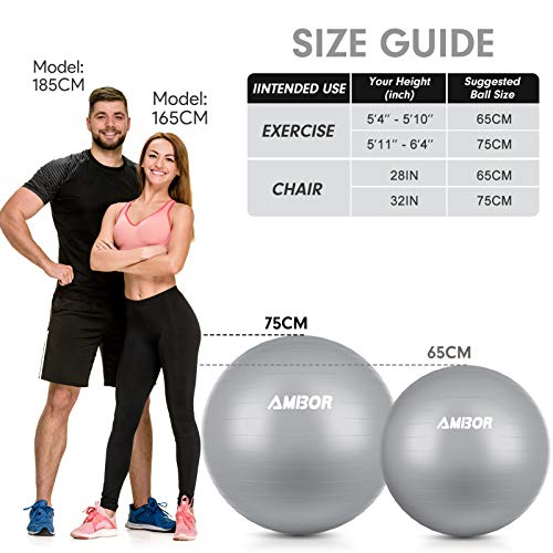Exercise Ball (65-75CM), AMBOR Extra Thick Anti-Burst & Non-Slip Stability Balance Yoga Ball for Birthing, Pilates, Desk Chairs, Fitness, Quick Pump Included