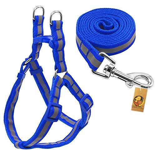 Foodie Puppies Nylon Reflective Stripe Dog Harness Leash Lead Set for Puppies