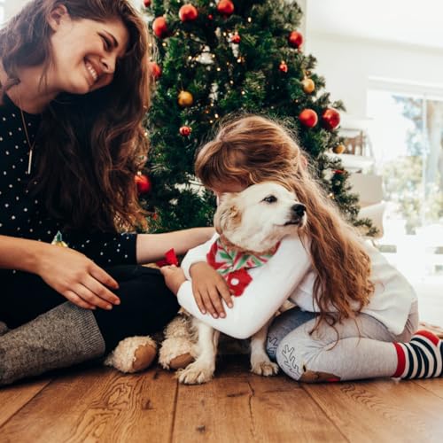 Set Disfraz Navidad con Bufanda y Sombrero Reno para Perros miniatura 2