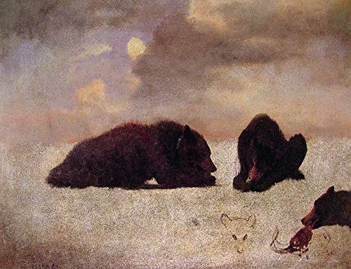 Tableau grizzlis Albert Bierstadt huile sur toile pour remplacer posters