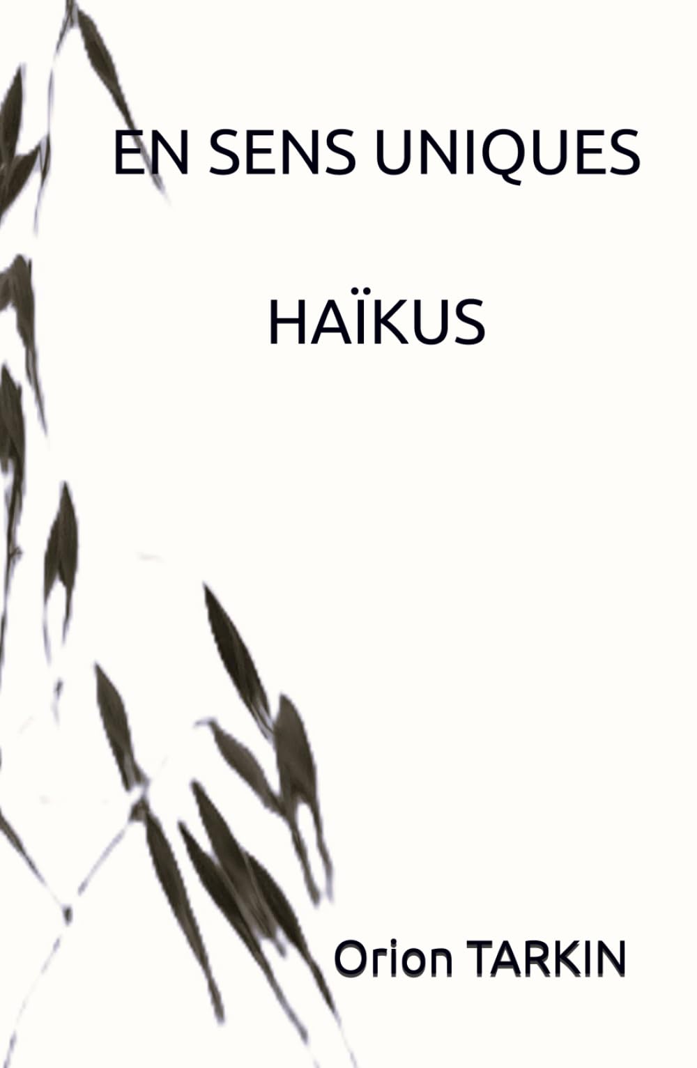 EN SENS UNIQUES: HAÏKUS