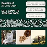 Adapt Naturals Bio-Avail Organ image 3