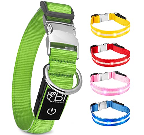 Leuchthalsband für Hunde [Das Original] Leuchtendes LED Hundehalsband zum spazieren gehen auch im Dunkeln- sehr Lange Akkulaufzeit - Sicher Dank hochwertigem Metallverschluss Cover