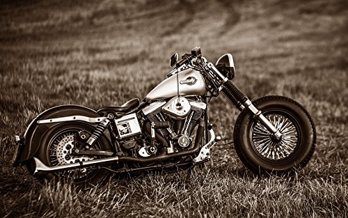 ハーレーダビッドソン■歴代バイクイラスト額入りポスター■壁掛け◎■大型106cm ハーレーダビッドソン□歴代バイクイラスト額入りポスター