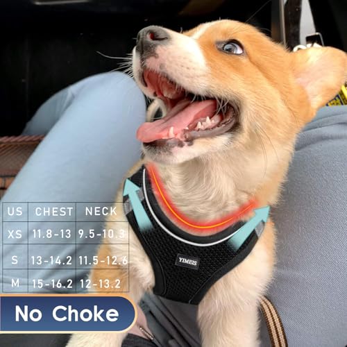 YIMEIS Dog Harness and Leash Set, No Pull Soft Mesh Pet Harness, Reflective Adjustable Puppy Vest for Small Medium Large Dogs, Cats (Black, X-Small (Pack of 1)) - Image 3