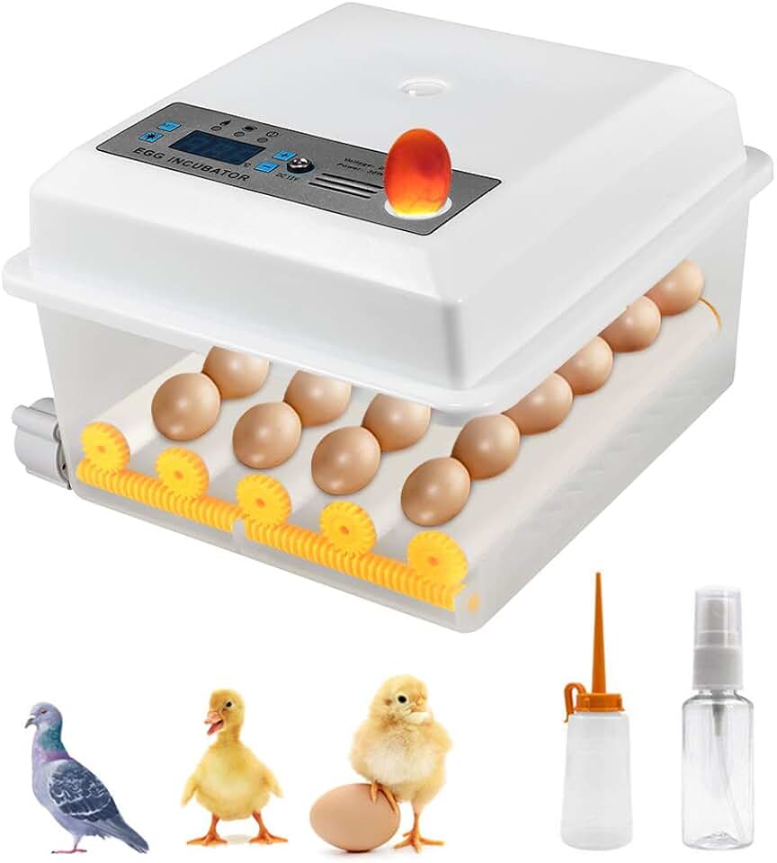 Amazon.fr couveuse oeuf automatique Amazon.fr couveuse oeuf automatique